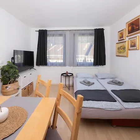 Apartmán Apartmaji Anze *