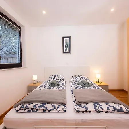 公寓 Apartmaji Anze 克拉尼斯卡戈拉